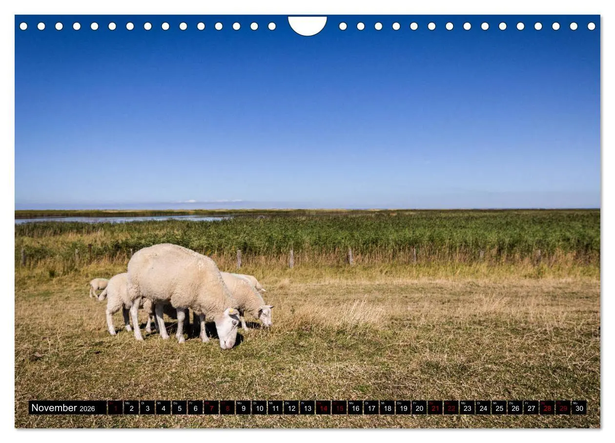 Bild: 9783457891339 | Insel Fehmarn - Impressionen eines Sommertages an der Ostsee...