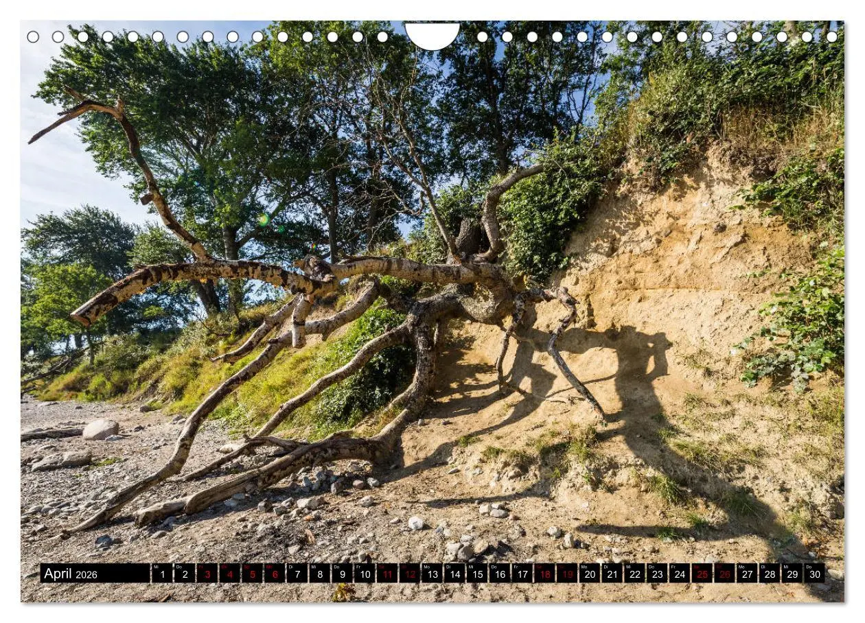 Bild: 9783457891339 | Insel Fehmarn - Impressionen eines Sommertages an der Ostsee...
