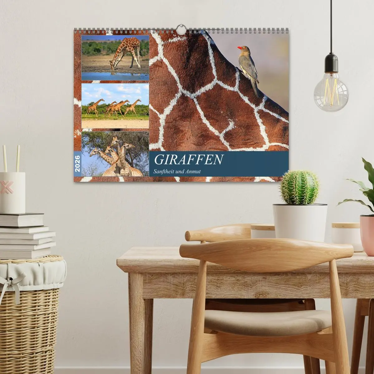 Bild: 9783516051339 | Giraffen - Sanftheit und Anmut (Wandkalender 2026 DIN A3 quer),...