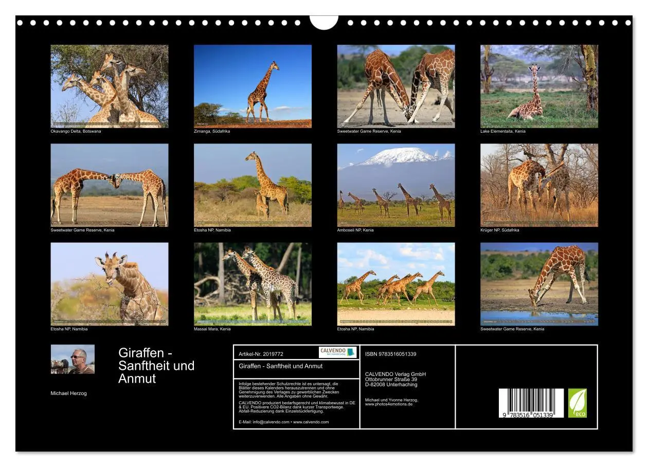 Bild: 9783516051339 | Giraffen - Sanftheit und Anmut (Wandkalender 2026 DIN A3 quer),...
