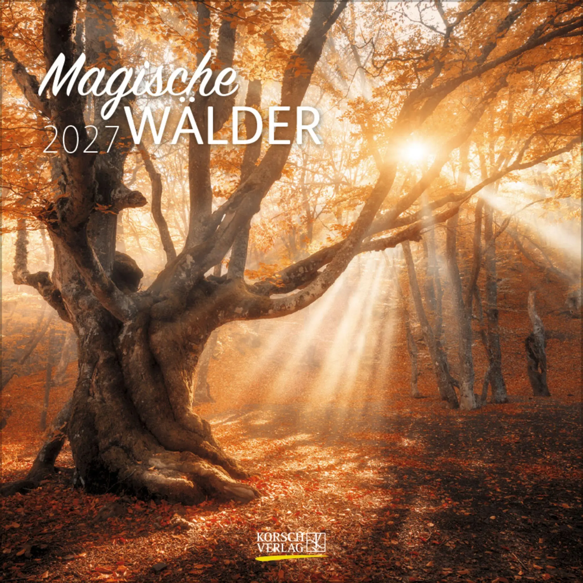 Cover: 9783819301339 | Magische Wälder 2027 | Verlag Korsch | Kalender | 13 S. | Deutsch