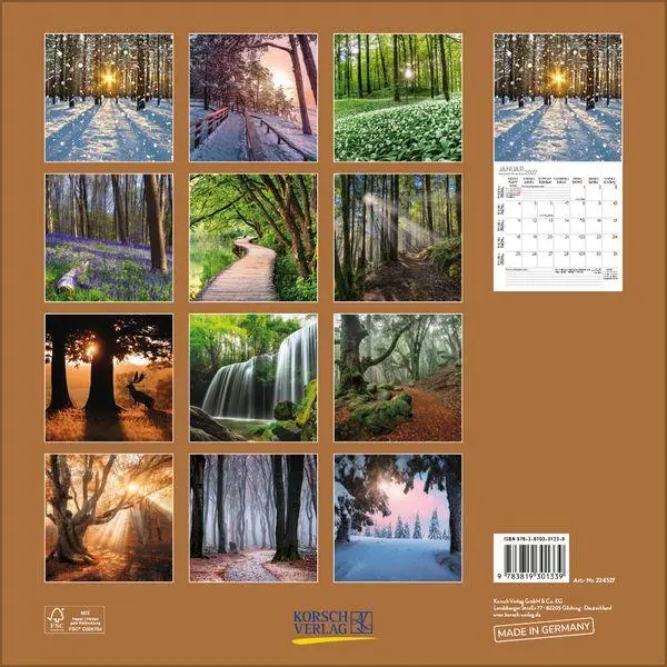 Bild: 9783819301339 | Magische Wälder 2027 | Verlag Korsch | Kalender | 13 S. | Deutsch