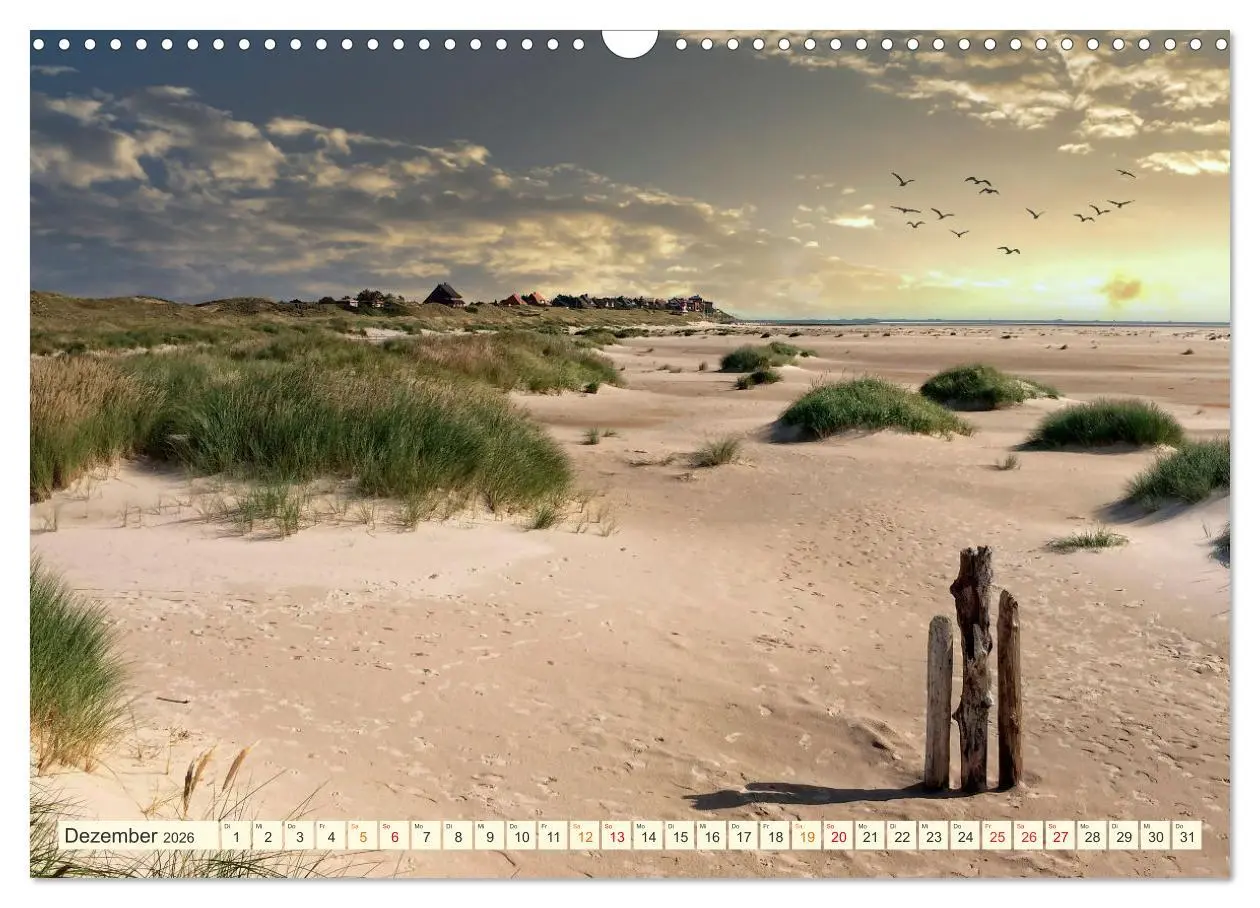 Bild: 9783457641439 | Geliebte Nordsee (Wandkalender 2026 DIN A3 quer), CALVENDO...