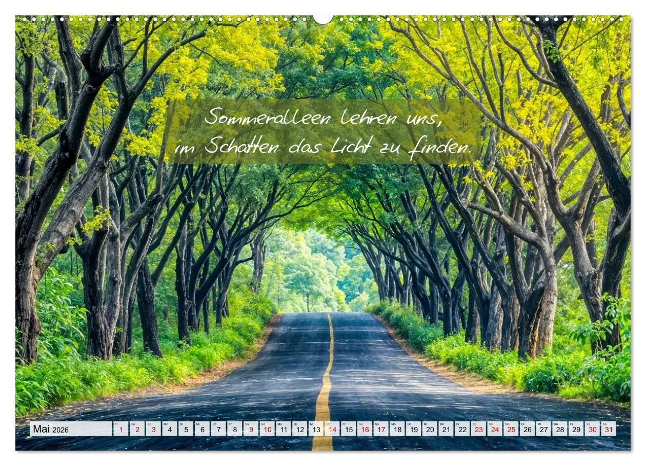 Bild: 9783516661439 | Wege zwischen Asphalt und Himmel - Achtsamkeitskalender mit...