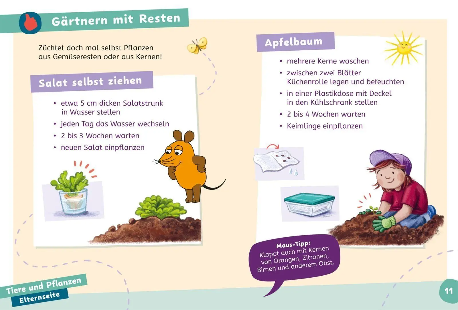 Bild: 9783551691439 | Frag doch mal ... die Maus: Wissen zum Schulstart: Natur und Umwelt