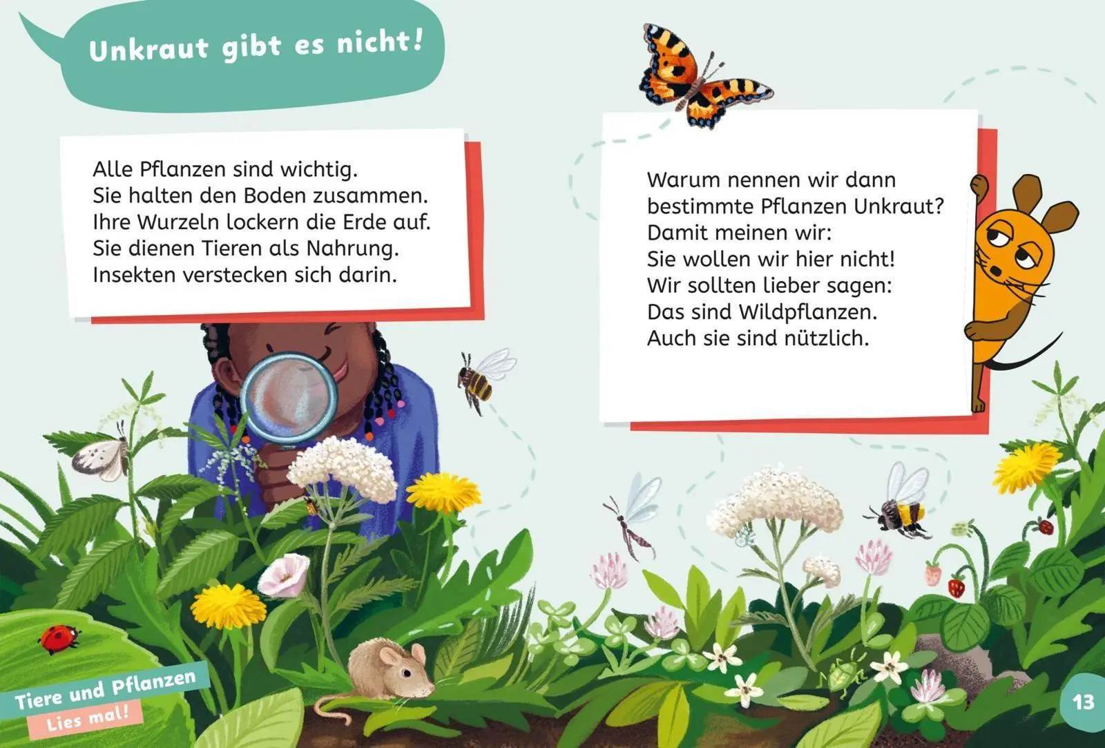 Bild: 9783551691439 | Frag doch mal ... die Maus: Wissen zum Schulstart: Natur und Umwelt