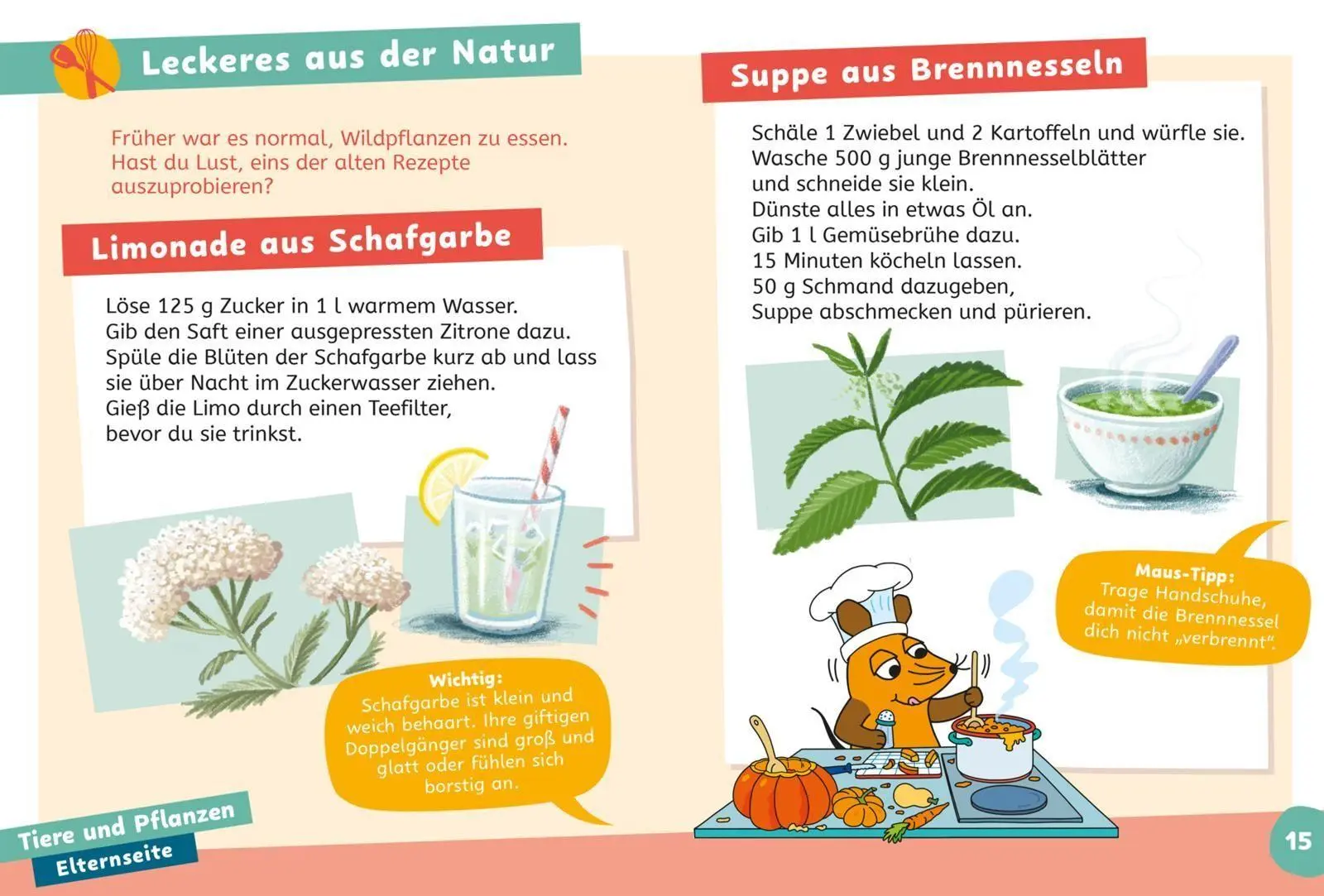 Bild: 9783551691439 | Frag doch mal ... die Maus: Wissen zum Schulstart: Natur und Umwelt