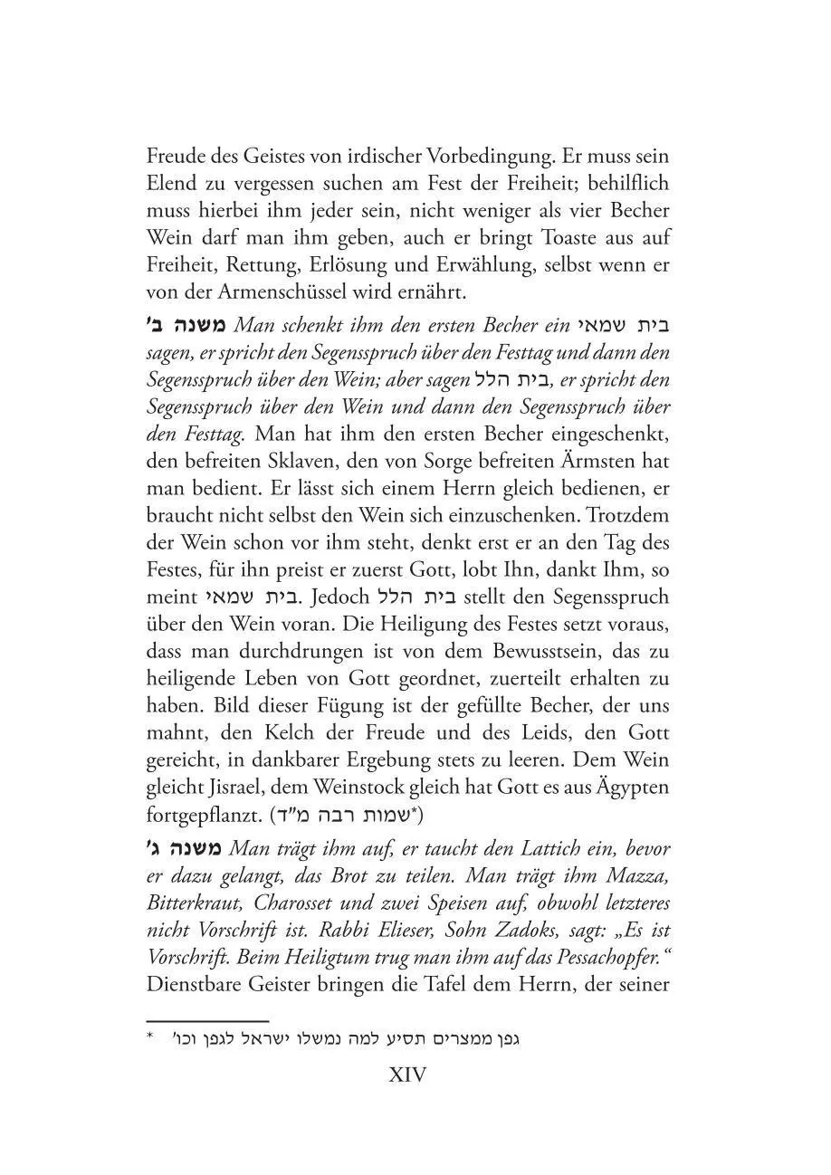 Bild: 9783907401439 | Hirsch-Haggada | Abraham Michalski (u. a.) | Buch | 167 S. | Deutsch