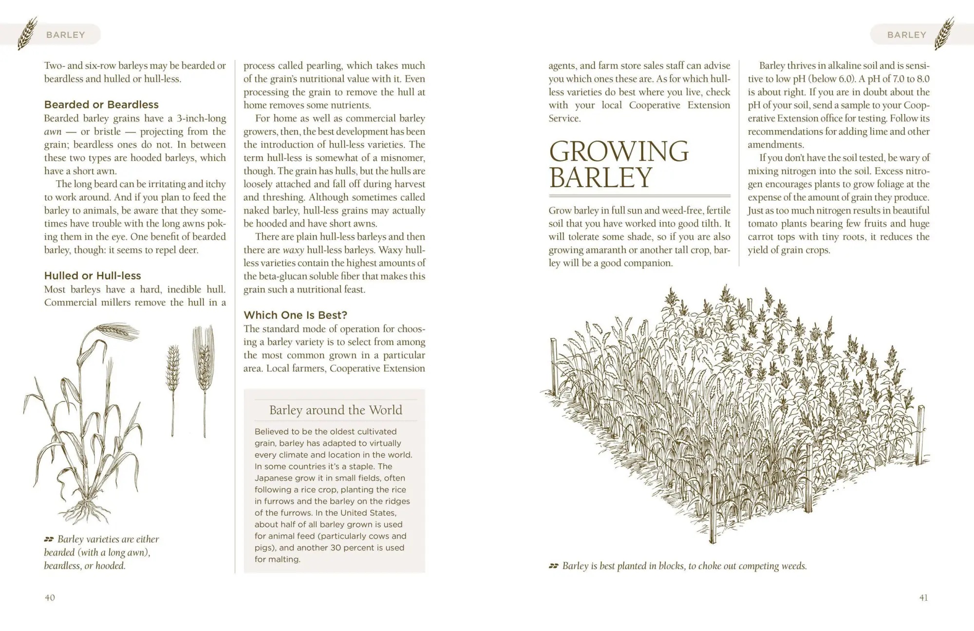 Bild: 9781603421539 | Homegrown Whole Grains | Sara Pitzer | Taschenbuch | Englisch | 2009