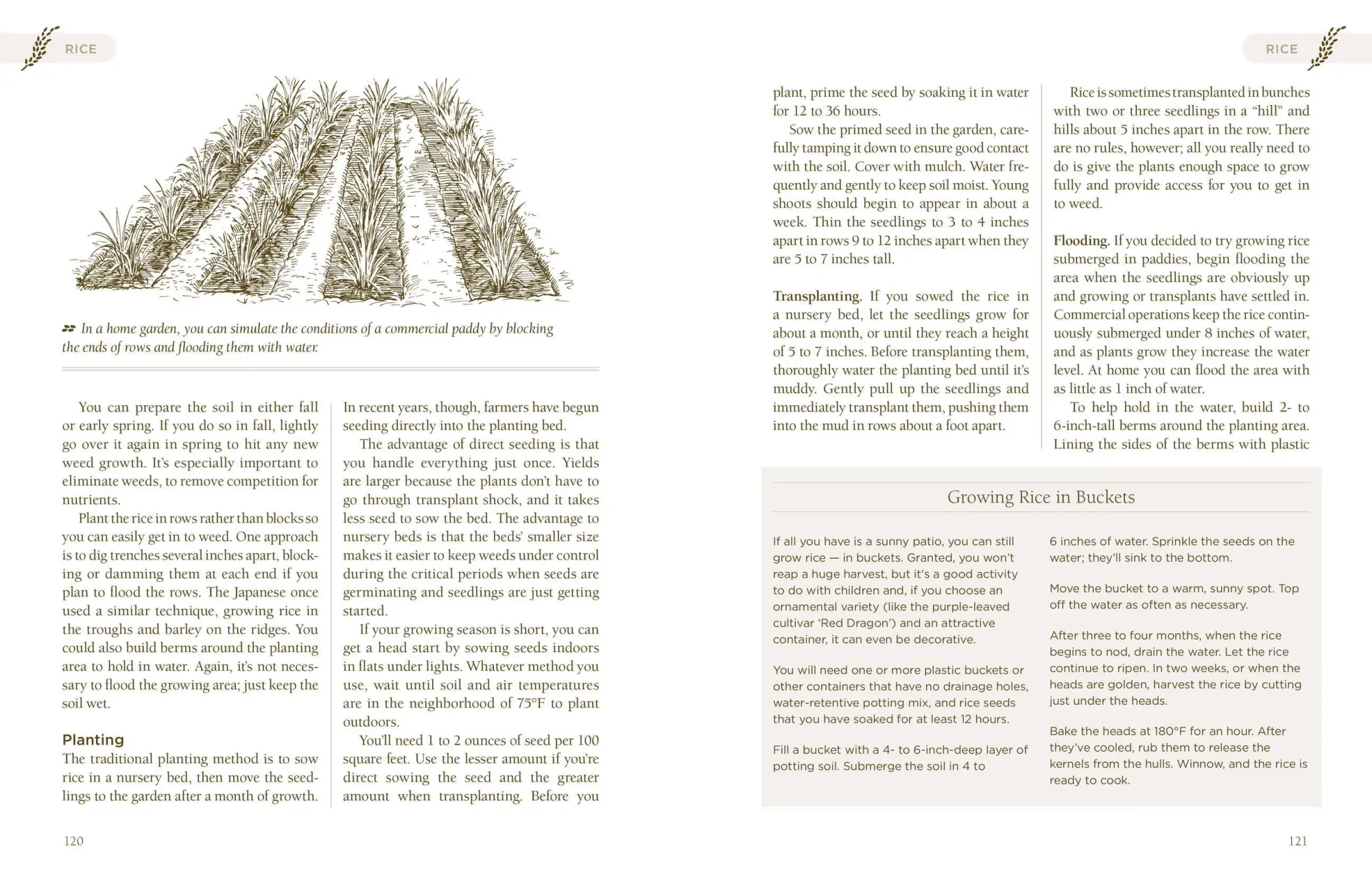 Bild: 9781603421539 | Homegrown Whole Grains | Sara Pitzer | Taschenbuch | Englisch | 2009