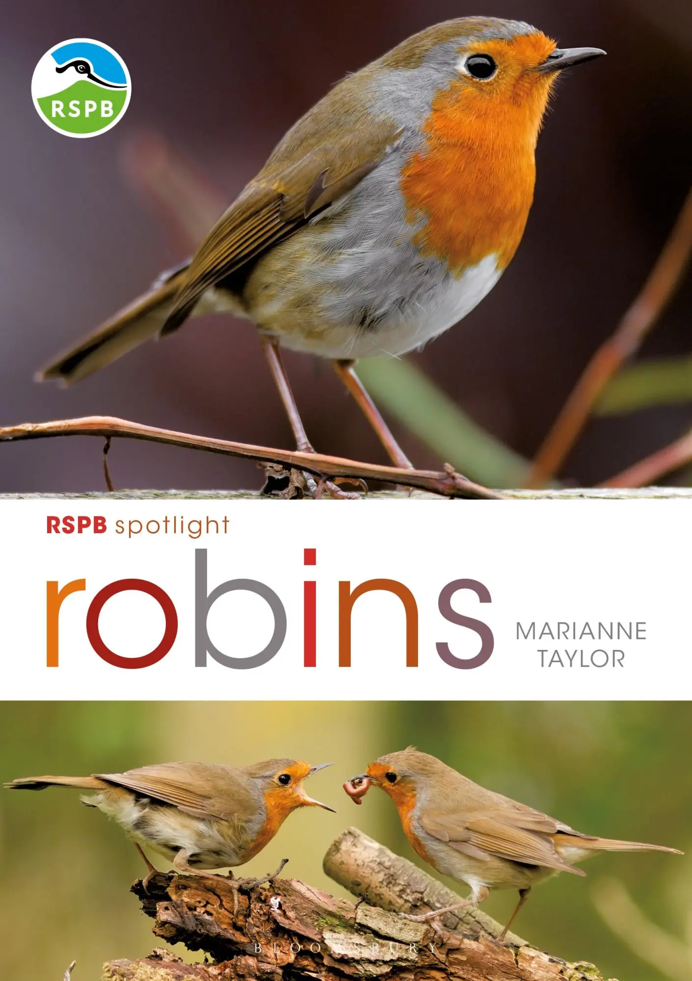 Cover: 9781472971739 | RSPB Spotlight: Robins | Marianne Taylor | Taschenbuch | Englisch