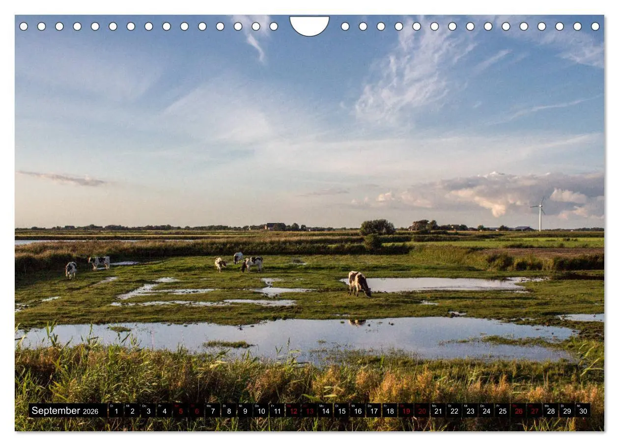 Bild: 9783457851739 | Nordseeinsel Pellworm 2026 (Wandkalender 2026 DIN A4 quer),...