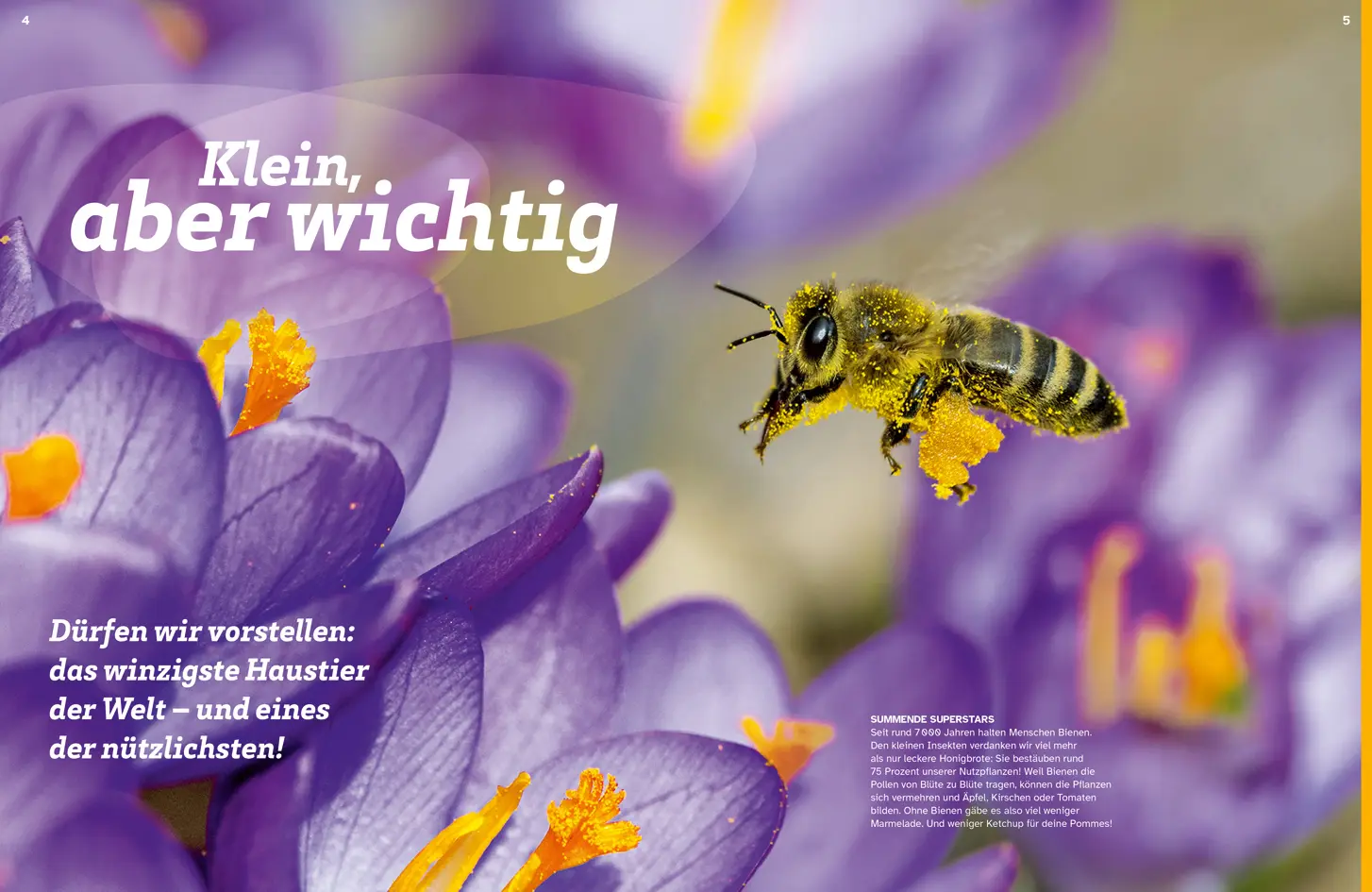 Bild: 9783788681739 | WAS IST WAS Bienen. Summende Genies | Nicole Röndigs | Buch | 48 S.