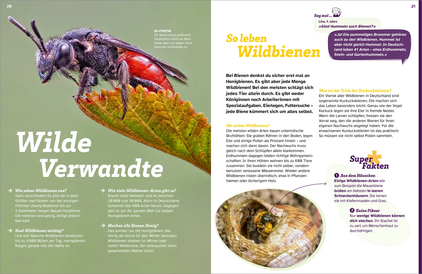 Bild: 9783788681739 | WAS IST WAS Bienen. Summende Genies | Nicole Röndigs | Buch | 48 S.