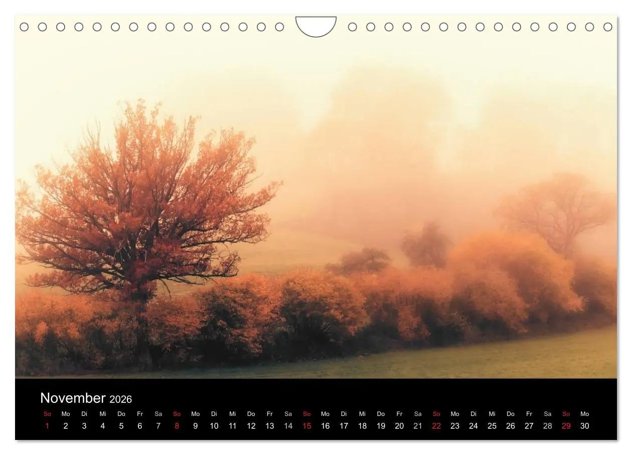 Bild: 9783516001839 | Schwabens Schönheit (Wandkalender 2026 DIN A4 quer), CALVENDO...