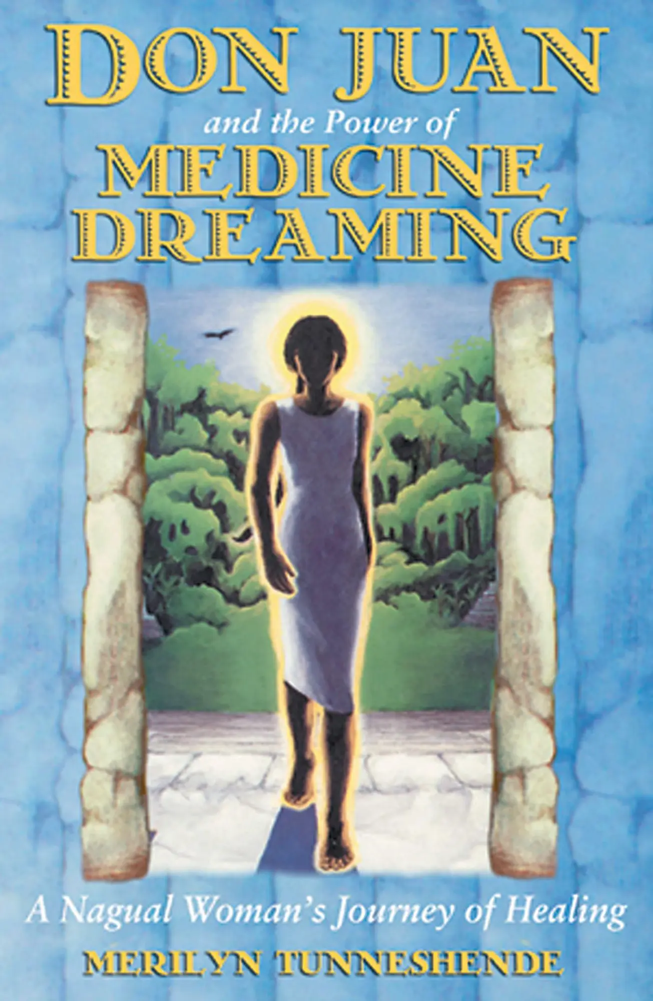 Cover: 9781879181939 | Don Juan and the Power of Medicine Dreaming | Merilyn Tunneshende