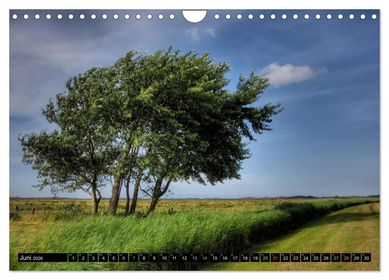 Bild: 9783516161939 | Borkum (Wandkalender 2026 DIN A4 quer), CALVENDO Monatskalender | 2026