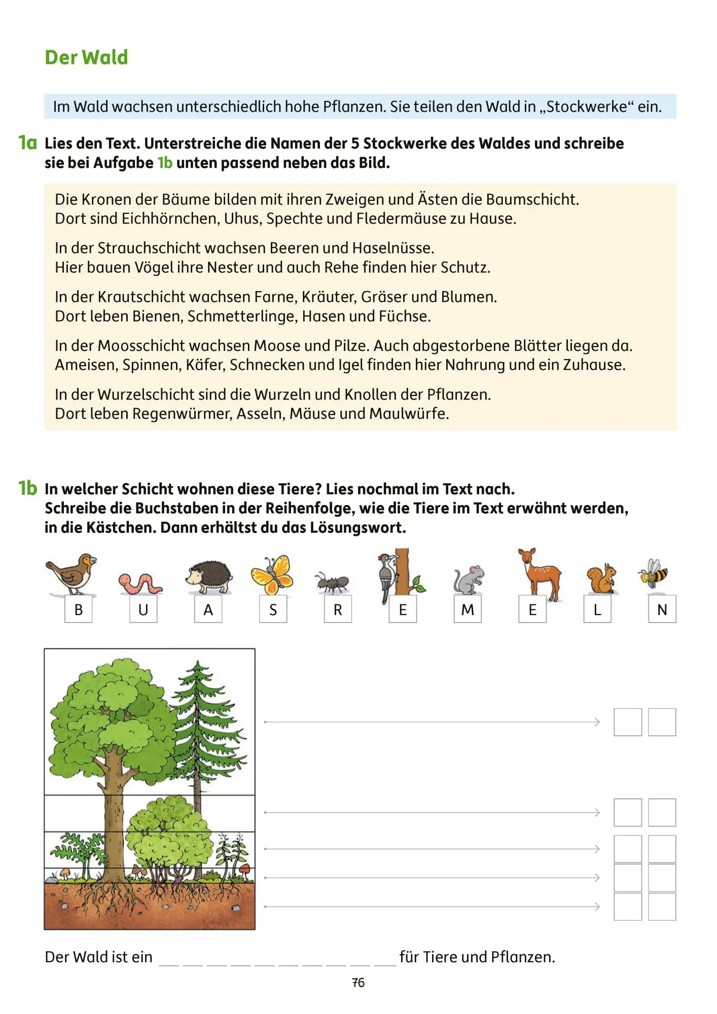 Bild: 9783881001939 | Erfolgreich durch die 3. Klasse - Mathe, Deutsch, Sachunterricht