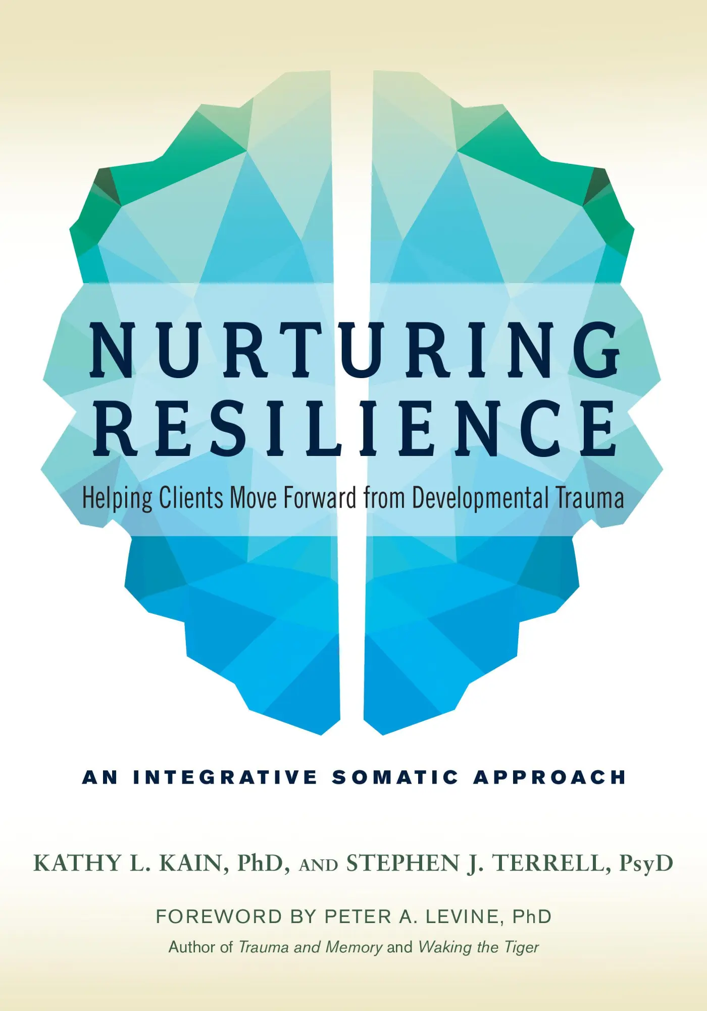Cover: 9781623172039 | Nurturing Resilience | Kathy L Kain (u. a.) | Taschenbuch | Englisch