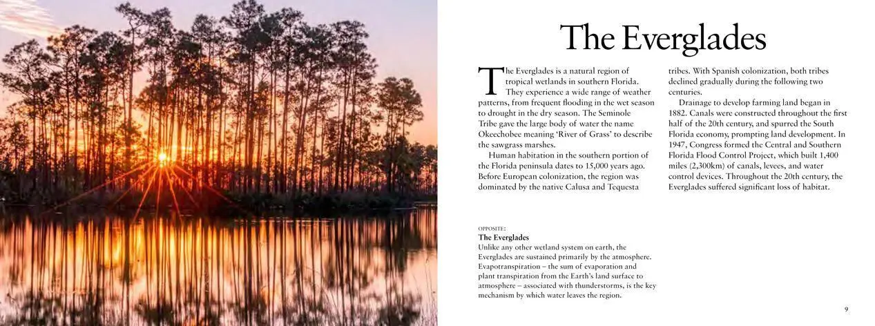 Bild: 9781838862039 | Florida | John Crippen | Taschenbuch | Visual Explorer Guide | 2022