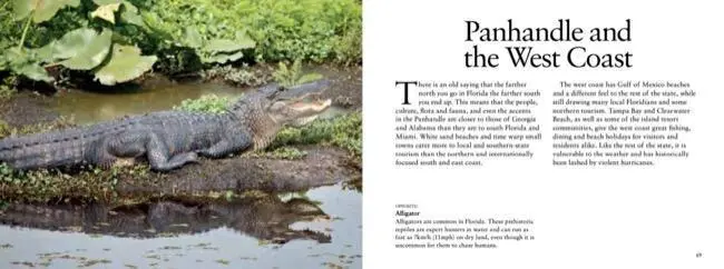 Bild: 9781838862039 | Florida | John Crippen | Taschenbuch | Visual Explorer Guide | 2022
