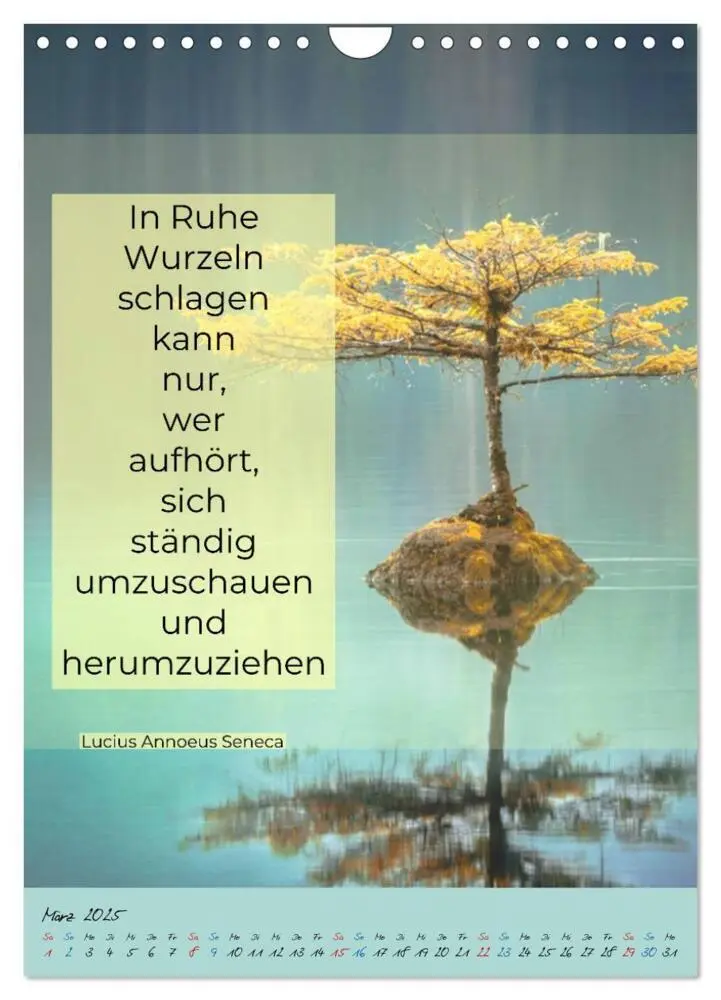 Bild: 9783435942039 | Aktiviere deine Gelassenheit Weisheiten und Zitate (Wandkalender...