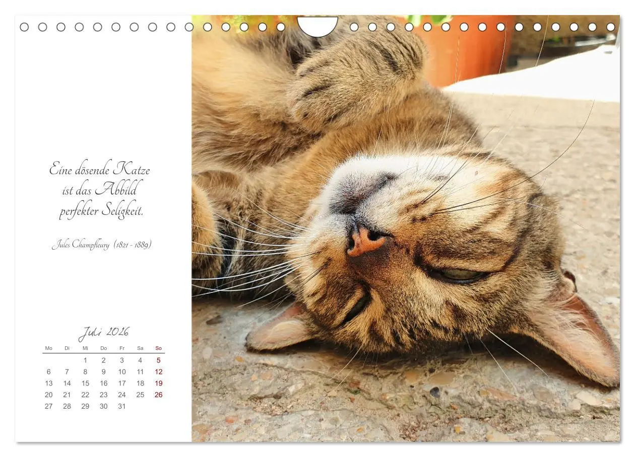 Bild: 9783457342039 | Catlovers - Ein Jahr voller Samtpfoten und charmanten Weisheiten...