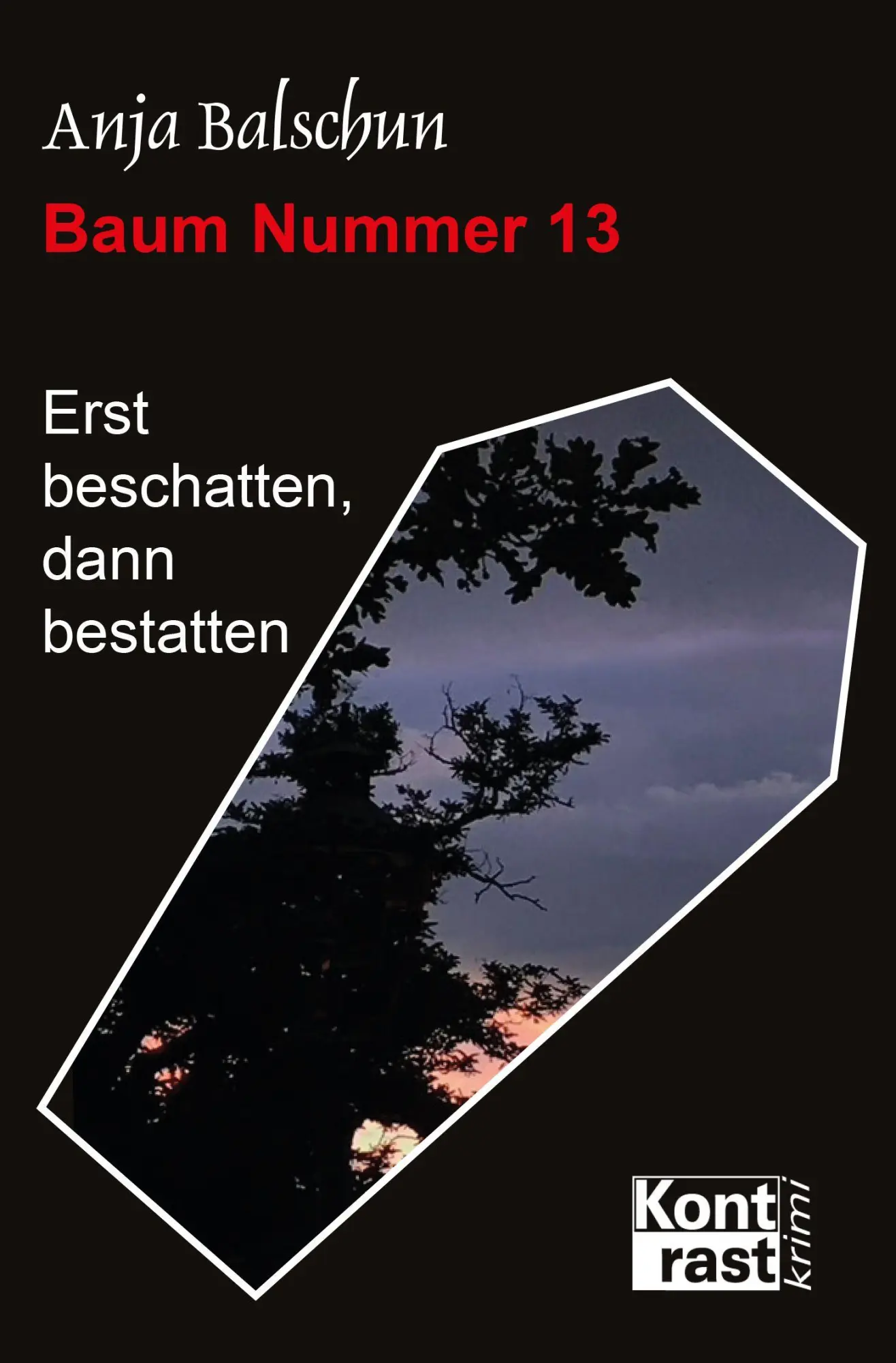 Cover: 9783864472039 | Baum Nummer 13 | Anja Balschun | Taschenbuch | Deutsch | 2025