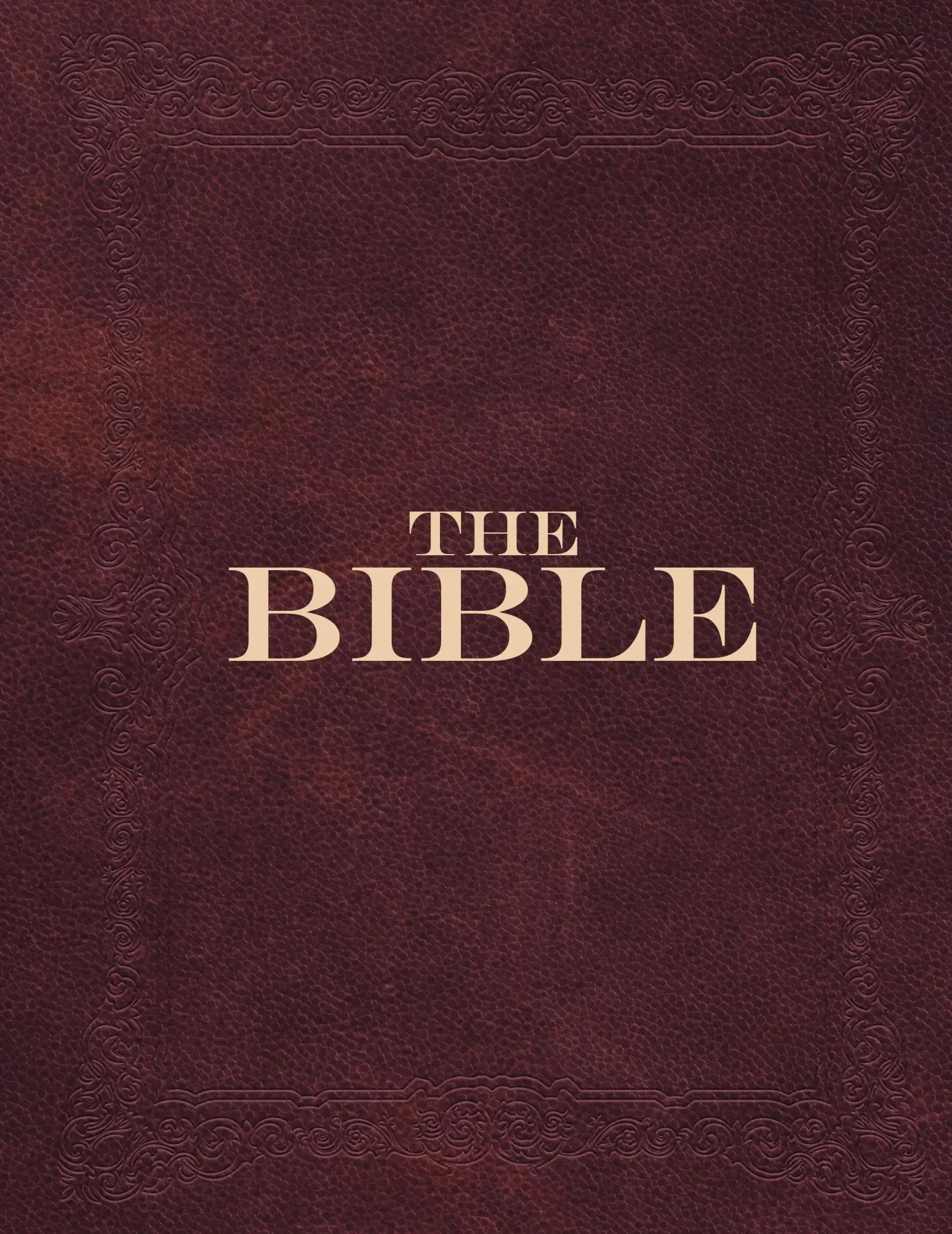 Cover: 9781645942139 | The World English Bible | The Public Domain Bible | Group | Buch