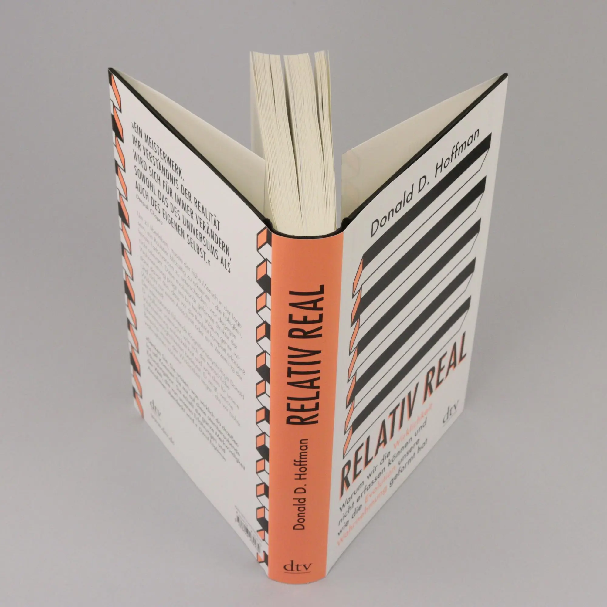 Bild: 9783423282239 | Relativ real | Donald D. Hoffman | Buch | 360 S. | Deutsch | 2020