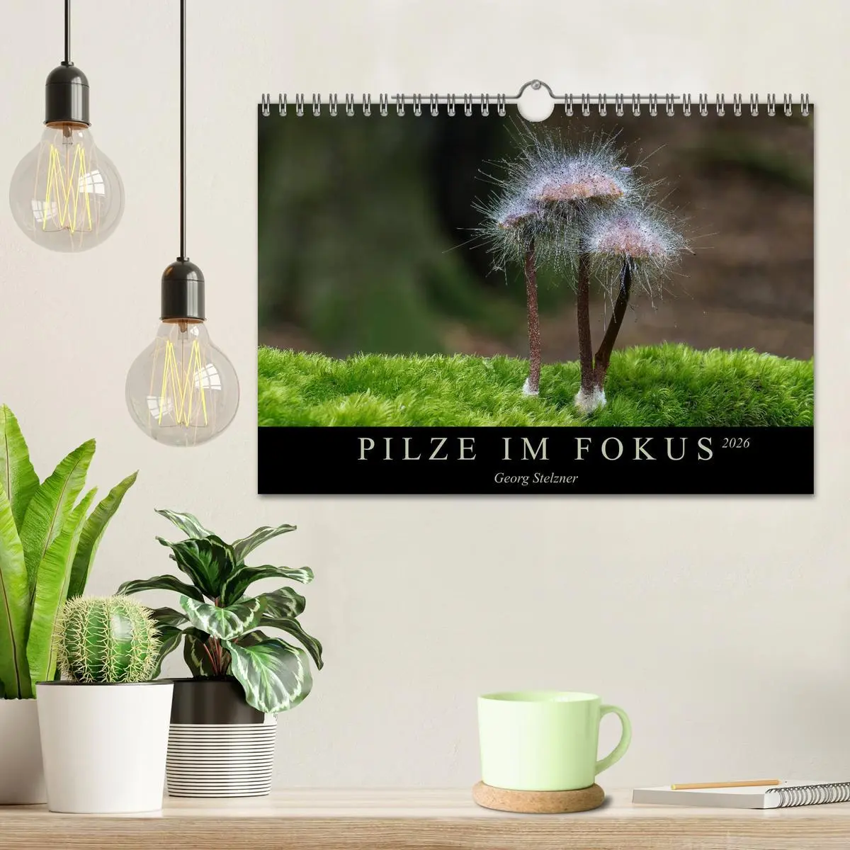 Bild: 9783457872239 | PILZE IM FOKUS 2026 (Wandkalender 2026 DIN A4 quer), CALVENDO...