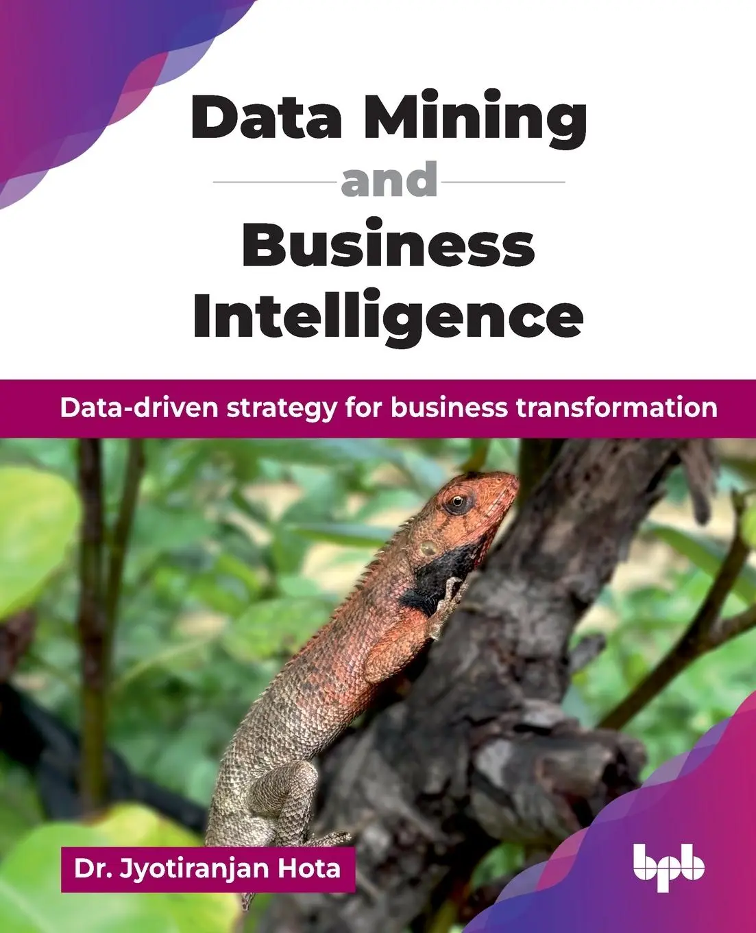 Cover: 9789365892239 | Data Mining and Business Intelligence | Jyotiranjan Hota | Taschenbuch