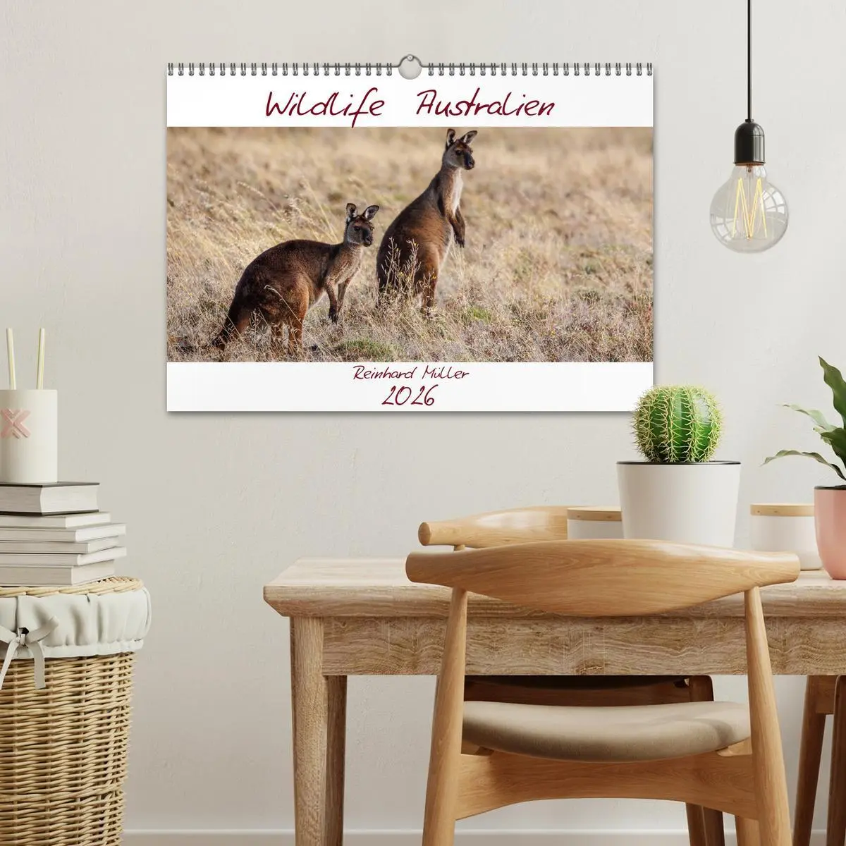 Bild: 9783457792339 | Wildlife Australien (Wandkalender 2026 DIN A3 quer), CALVENDO...