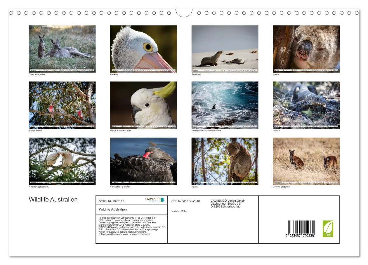 Bild: 9783457792339 | Wildlife Australien (Wandkalender 2026 DIN A3 quer), CALVENDO...