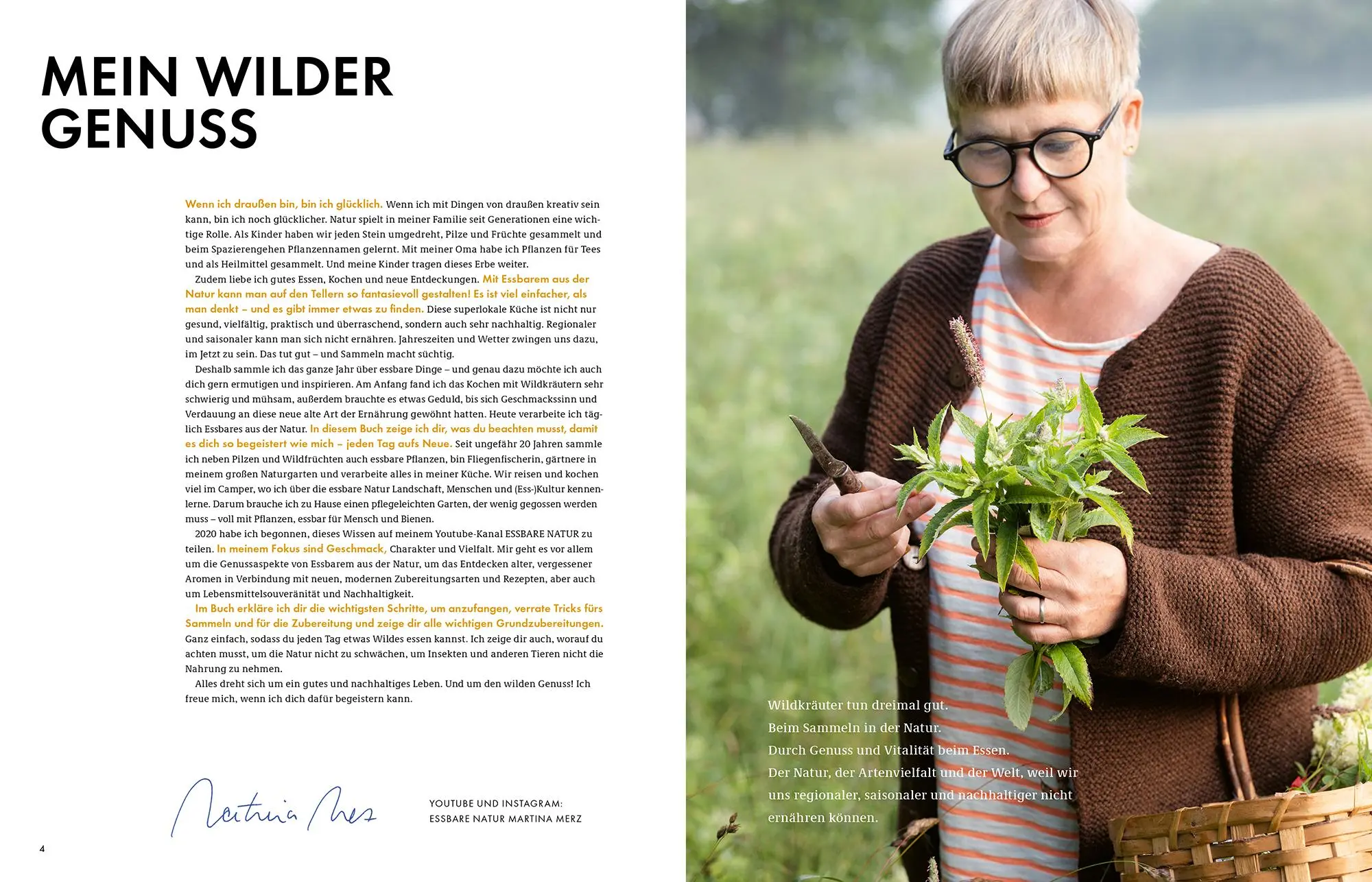 Bild: 9783954532339 | Wildkräuter - Bestimmen, Sammeln, Zubereiten | Martina Merz | Buch