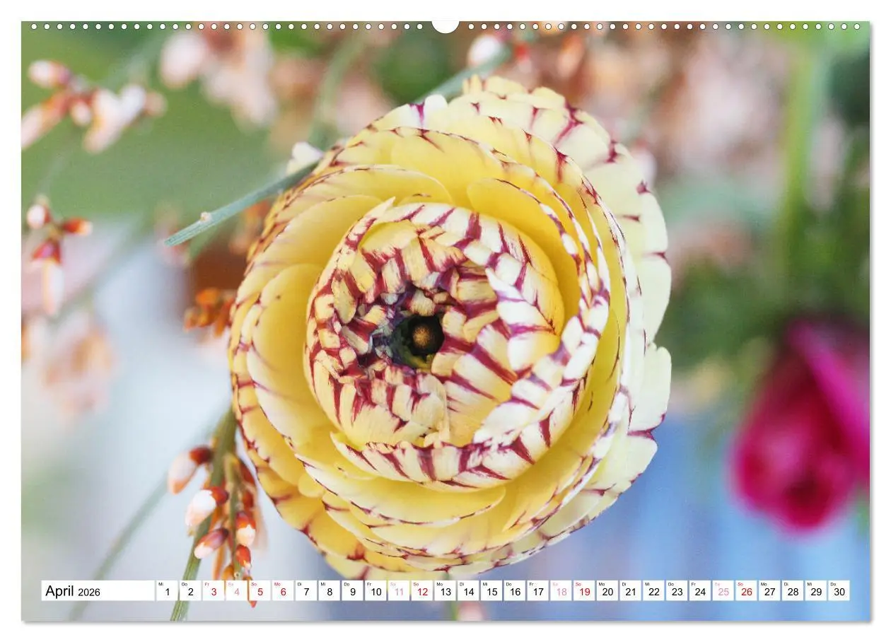 Bild: 9783457542439 | Blumenpracht - Blüten und Sträuße (Wandkalender 2026 DIN A2 quer),...