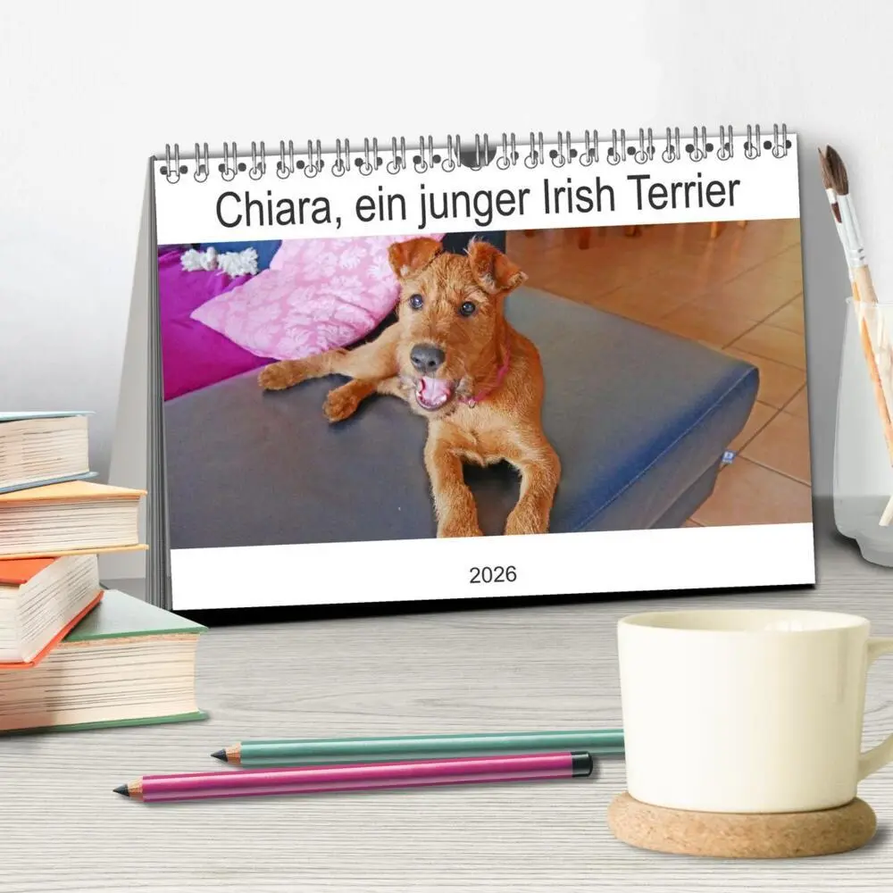 Bild: 9783457612439 | Chiara, ein junger Irish Terrier (Tischkalender 2026 DIN A5 quer),...