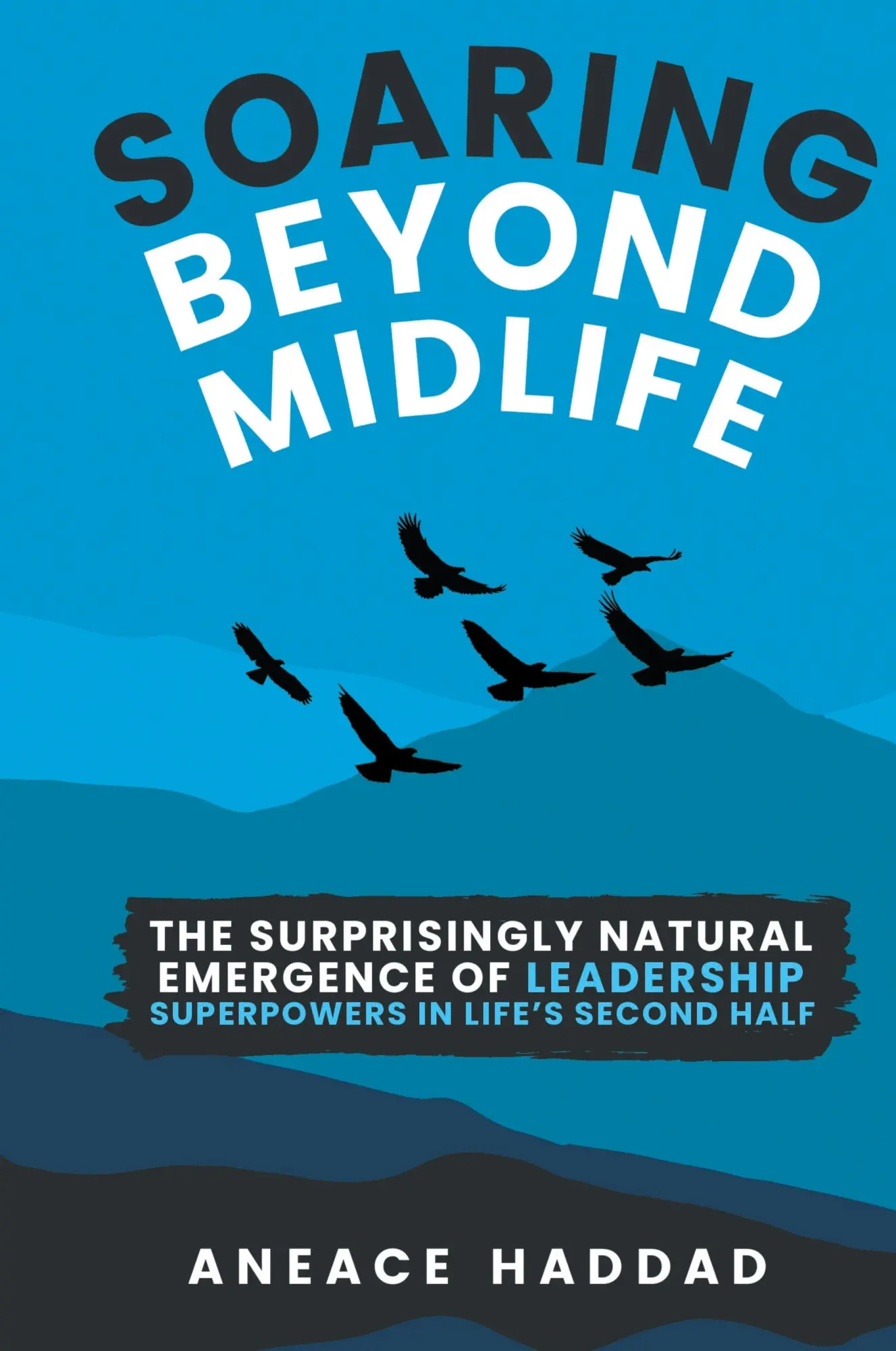 Cover: 9789694792439 | Soaring Beyond Midlife | Aneace Haddad | Buch | Englisch | 2024
