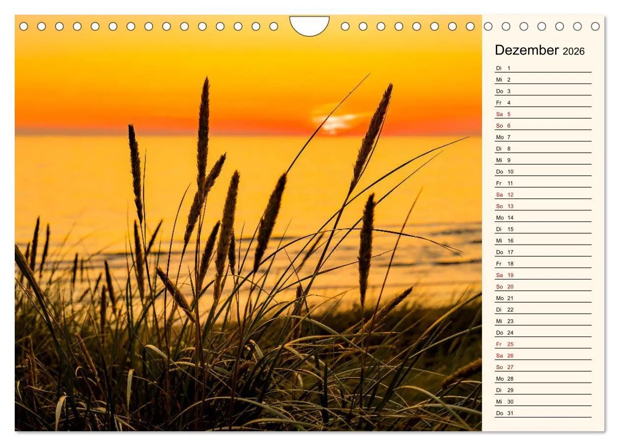 Bild: 9783457842539 | Langeoog Geburtstagskalender (Wandkalender 2026 DIN A4 quer),...
