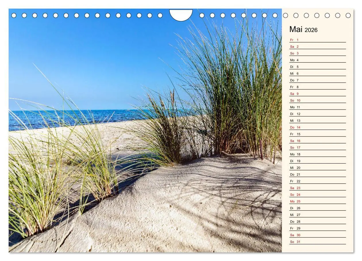Bild: 9783457842539 | Langeoog Geburtstagskalender (Wandkalender 2026 DIN A4 quer),...