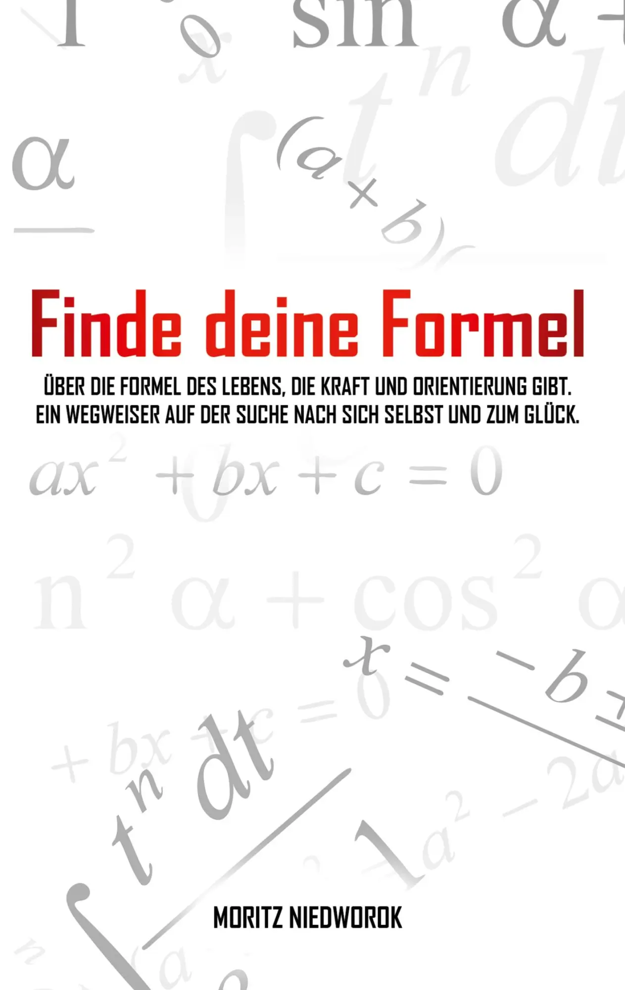 Cover: 9783753472539 | Finde deine Formel | Moritz Niedworok | Taschenbuch | 216 S. | Deutsch