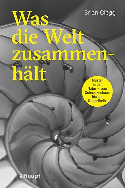 Cover: 9783258082639 | Was die Welt zusammenhält | Brian Clegg | Taschenbuch | 224 S. | 2022
