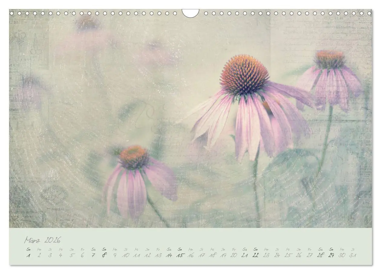 Bild: 9783457902639 | Shabby ist Chic (Wandkalender 2026 DIN A3 quer), CALVENDO...