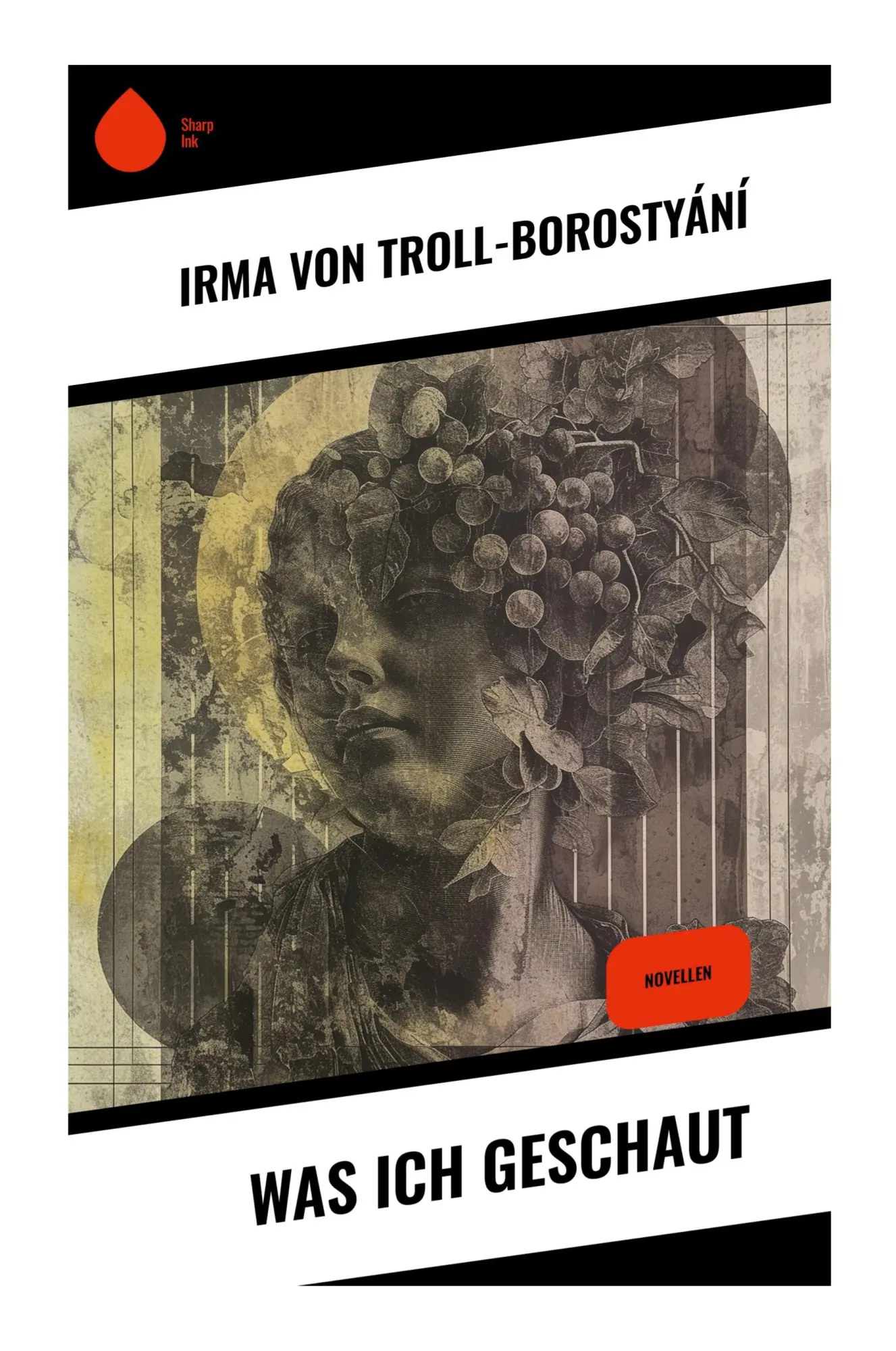Cover: 9788028352639 | Was ich geschaut | Irma von Troll-Borostyání | Taschenbuch | Deutsch