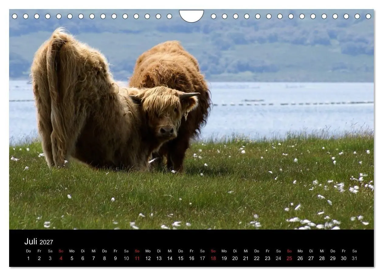 Bild: 9783594202739 | Schottland 2027 (Wandkalender 2027 DIN A4 quer), CALVENDO...