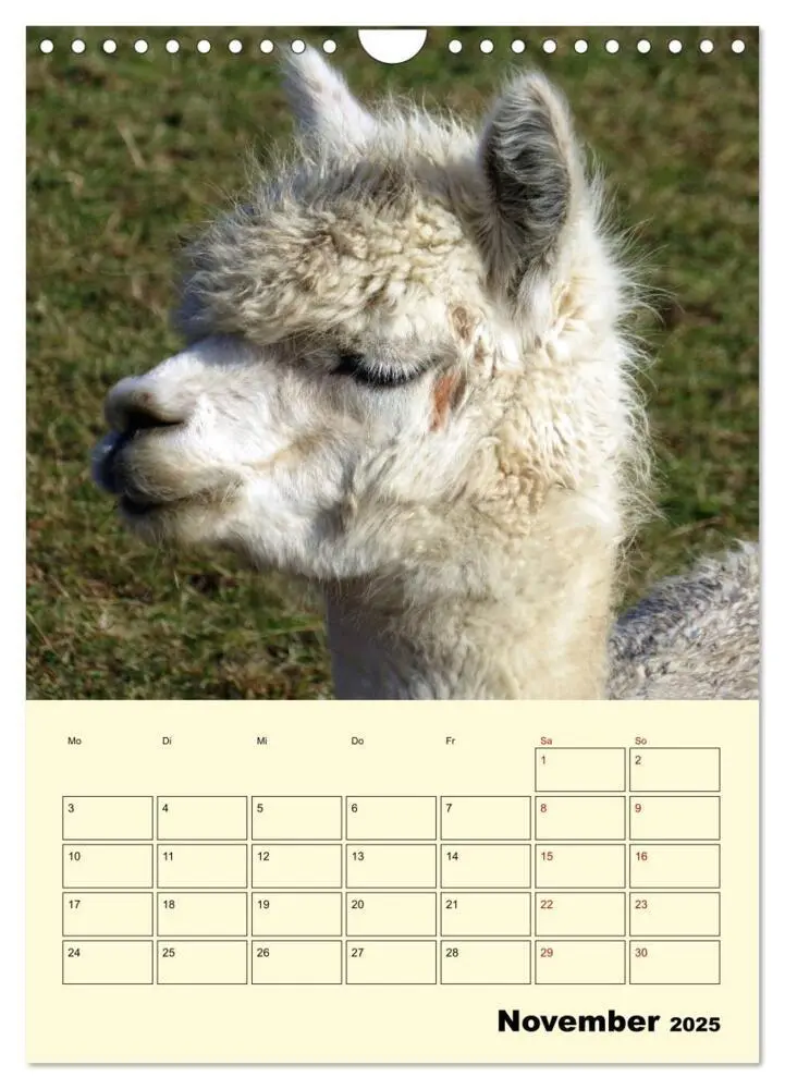 Bild: 9783435962839 | Alpakas erleben (Wandkalender 2025 DIN A4 hoch), CALVENDO...