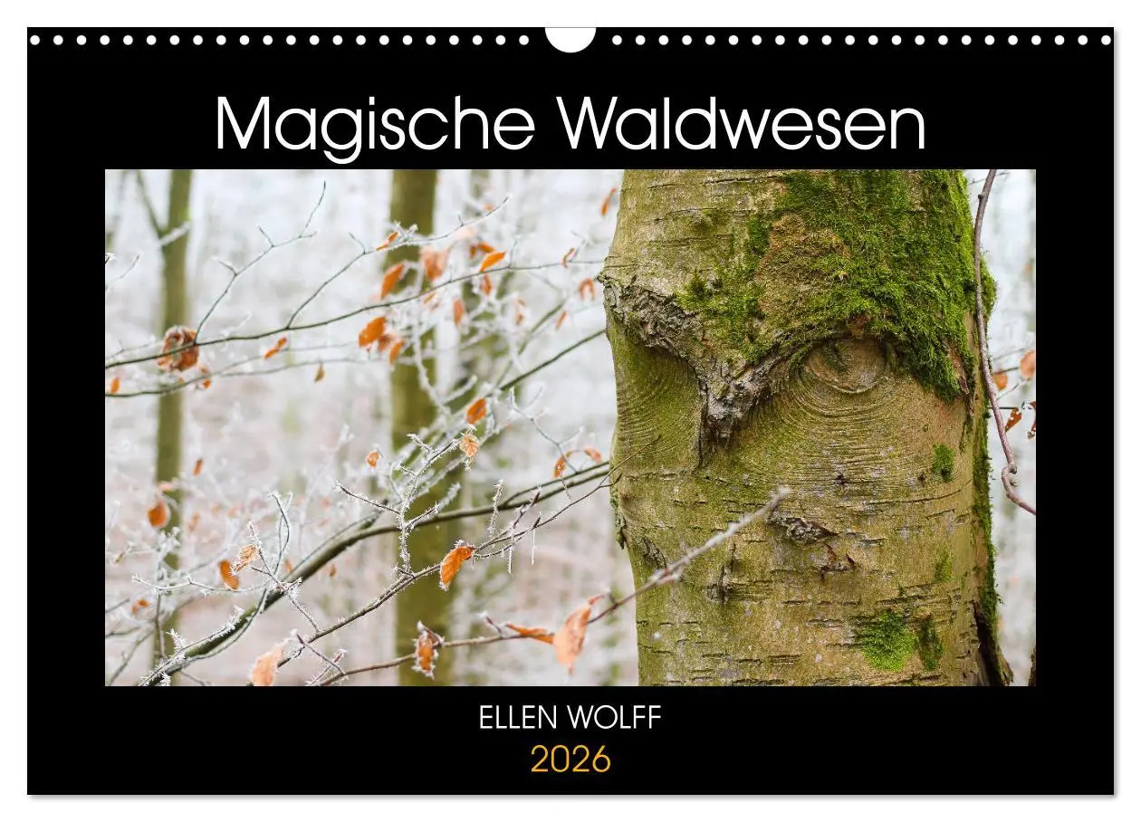 Cover: 9783457742839 | Magische Waldwesen (Wandkalender 2026 DIN A3 quer), CALVENDO...