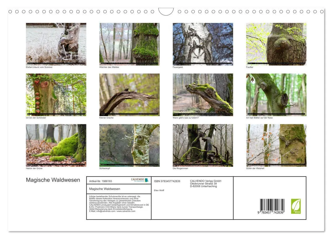 Bild: 9783457742839 | Magische Waldwesen (Wandkalender 2026 DIN A3 quer), CALVENDO...