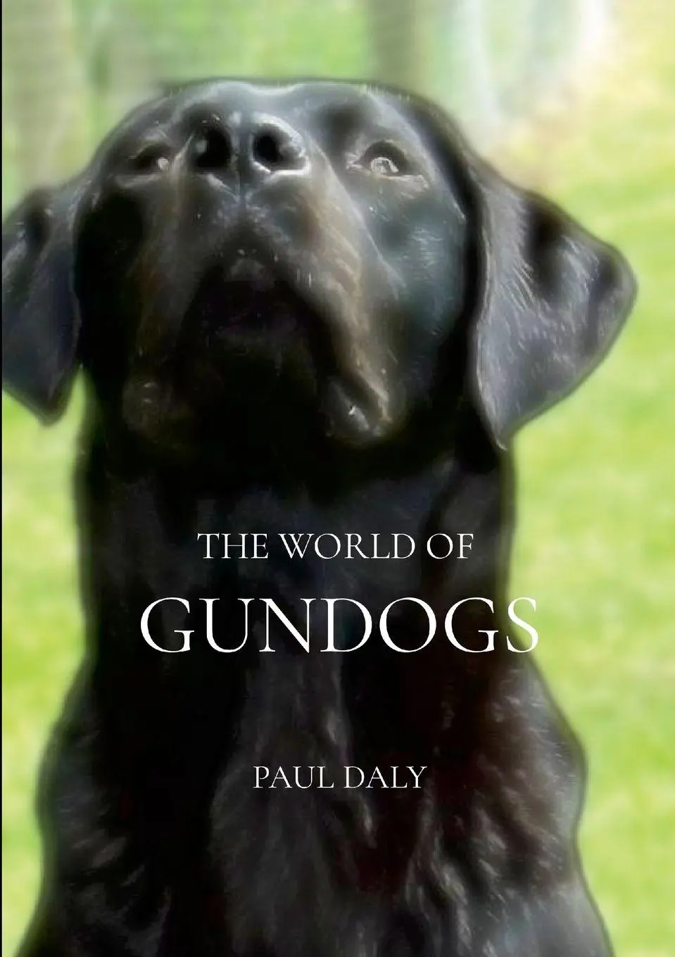 Cover: 9781445292939 | The World Of Gundogs | Paul Anthony Daly | Taschenbuch | Englisch