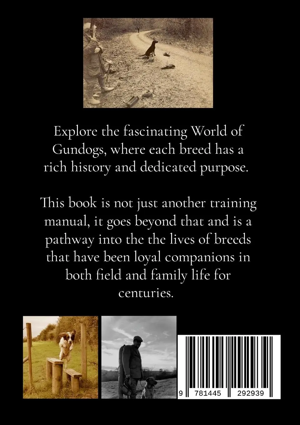 Rückseite: 9781445292939 | The World Of Gundogs | Paul Anthony Daly | Taschenbuch | Englisch